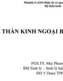 Bài giảng Hệ thần kinh ngoại biên - PGS.TS. Mai Phương Thảo