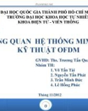 Bài thuyết trình Tổng quan hệ thống MIMO và kỹ thuật OFDM