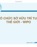 Tổ chức sở hữu trí tuệ thế giới - WIPO