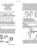 Đề thi học sinh giỏi cấp tỉnh môn Sinh học lớp 12 năm 2024-2025 - Sở GD&ĐT Bà Rịa - Vũng Tàu (GDPT)