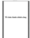 Tổ chức hành chính công