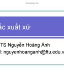 Bài giảng Quy tắc xuất xứ - PGS.TS. Nguyễn Hoàng Ánh