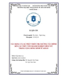 Luận án Tiến sĩ Tài chính Ngân hàng: Tác động của sự phát triển thị trường tài chính đến cấu trúc vốn doanh nghiệp niêm yết trong Cộng đồng Kinh tế ASEAN