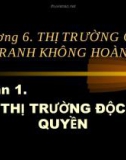 Kinh tế vi mô: Thị trường cạnh tranh không hoàn hảo