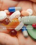 Bài giảng Đại cương virus - virus dengue