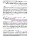 Nghiên cứu biểu hiện kháng nguyên vỏ miền III tái tổ hợp của virus sốt xuất huyết type 1, 2, 3, 4 trên Escherichia coli