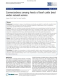 Báo cáo sinh học: Connectedness among herds of beef cattle bred under natural service