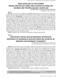 Định danh loài và thử nghiệm kháng nấm đồ của giống nấm Aspergillus phân lập tại Bệnh viện Trường Đại học Y Dược Huế