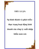 TIỂU LUẬN:  Sự hình thành và phát triển thực trạng hoạt động kinh doanh của công ty xuất nhập khẩu nam sơn