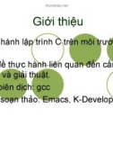 Thực hành lập trình C trên môi trường UNIX.