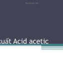 Công nghệ Vi sinh: Sản xuất Acid acetic