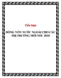 Tiểu luận: Dòng vốn nước ngoài cho các thị trường mới nổi 2010