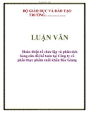 Luận văn: Hoàn thiện tổ chức lập và phân tích bảng cân đối kế toán tại Công ty cổ phần thực phẩm xuất khẩu Bắc Giang