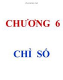 Chương 6 - Chỉ số