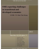 Tiểu luận: SME exporting challenges in transitional and developed economies