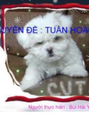 CHUYÊN ĐỀ : TUẦN HOÀN