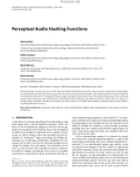 Báo cáo hóa học:  Perceptual Audio Hashing Functions ¨ Hamza Ozer