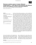 Báo cáo khoa học: Phytoene synthase genes in tomato (Solanum lycopersicum L.) – new data on the structures, the deduced amino acid sequences and the expression patterns