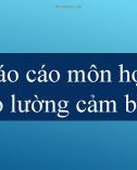 Báo cáo môn học: Đo lường cảm biến - Cảm biến nhiệt độ