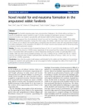 Báo cáo y học: Novel model for end-neuroma formation in the amputated rabbit forelimb