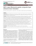 Báo cáo y học: BMP-2 gene-fibronectin-apatite composite layer enhances bone formation