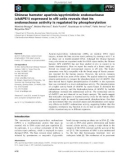 Báo cáo khoa học: Chinese hamster apurinic⁄apyrimidinic endonuclease (chAPE1) expressed in sf9 cells reveals that its endonuclease activity is regulated by phosphorylation