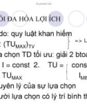 quá trình hình thành quy trình lý thuyết người tiêu dùng trong cung cầu p6