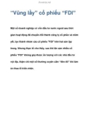 “Vũng lầy” cổ phiếu “FDI”