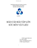 Báo cáo bài tập lớn: Sức bền vật liệu