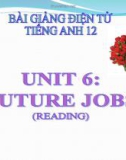 Bài giảng Tiếng Anh 12 unit 6: Future jobs