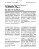 Báo cáo khoa học: Exo-mode of action of cellobiohydrolase Cel48C from Paenibacillus sp. BP-23 A unique type of cellulase among Bacillales