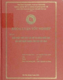 Khóa luận tốt nghiệp: Giải pháp phát huy lợi thế so sánh quốc gia của Việt Nam trong lĩnh vực dệt may