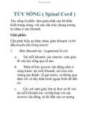 TÀI LIỆU: TỦY SỐNG