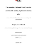 Master's thesis of Science: Free-standing Cu-based NanoZymes for colorimetric sensing of glucose in human urine