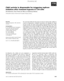 Báo cáo khoa học: Cdk2 activity is dispensable for triggering replicon initiation after transient hypoxia in T24 cells