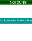 Báo cáo: Cây nhị phân tìm kiếm cân bằng