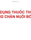 Sử dụng thuốc thú y trong chăn nuôi bò sữa