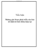 Tiểu luận: Những giai đoạn phát triển của bảo trì tính tới thời điểm hiện tại