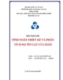 Bài tập lớn: Tính toán thiết kế và phân tích độ tin cậy của dầm