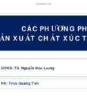 CÁC PHƯƠNG PHÁP SẢN XUẤT CHẤT XÚC TÁC