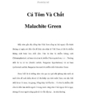 Cá Tôm Và Chất Malachite Green