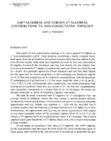 Báo cáo toán học: SAW*-algebras and corona C*-algebras, contributions to non- commuttative topology 