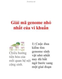 Giải mã genome nhỏ nhất của vi khuẩn