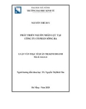 Luận văn Thạc sĩ Quản trị kinh doanh: Phát triển nguồn nhân lực tại Công ty cổ phần Sông Ba