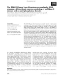 Báo cáo khoa học: The SCO2299 gene from Streptomyces coelicolor A3(2) encodes a bifunctional enzyme consisting of an RNase H domain and an acid phosphatase domain