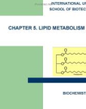 CHAPTER 6. LIPID METABOLISM