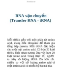 RNA vận chuyển (Transfer RNA - tRNA)