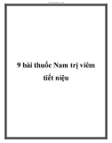 9 bài thuốc Nam trị viêm tiết niệu