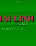 Quản trị chiến lược về vận tải Mai linh