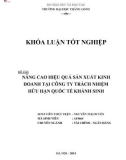 Khóa luận tốt nghiệp: Nâng cao hiệu quả sản xuất kinh doanh tại Công ty TNHH Quốc tế Khánh Sinh